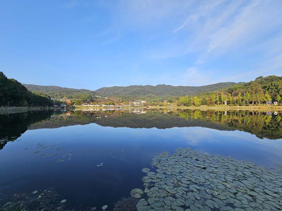 11일 오전 7시50분께 이천 설봉산을 배경으로 한 설봉호수 일대가 서서히 가을빛으로 물들고 있다. (사진=송석원 기자)