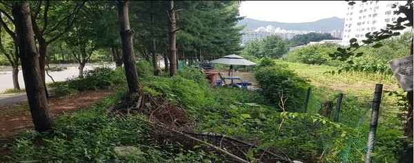 남양주시가 평내동 세종아파트, 효성아파트 전면부(평내동 58-6번지 외 9필지 일원)에 완충녹지 조성사업을 추진한다. (사진제공=남양주시청)
