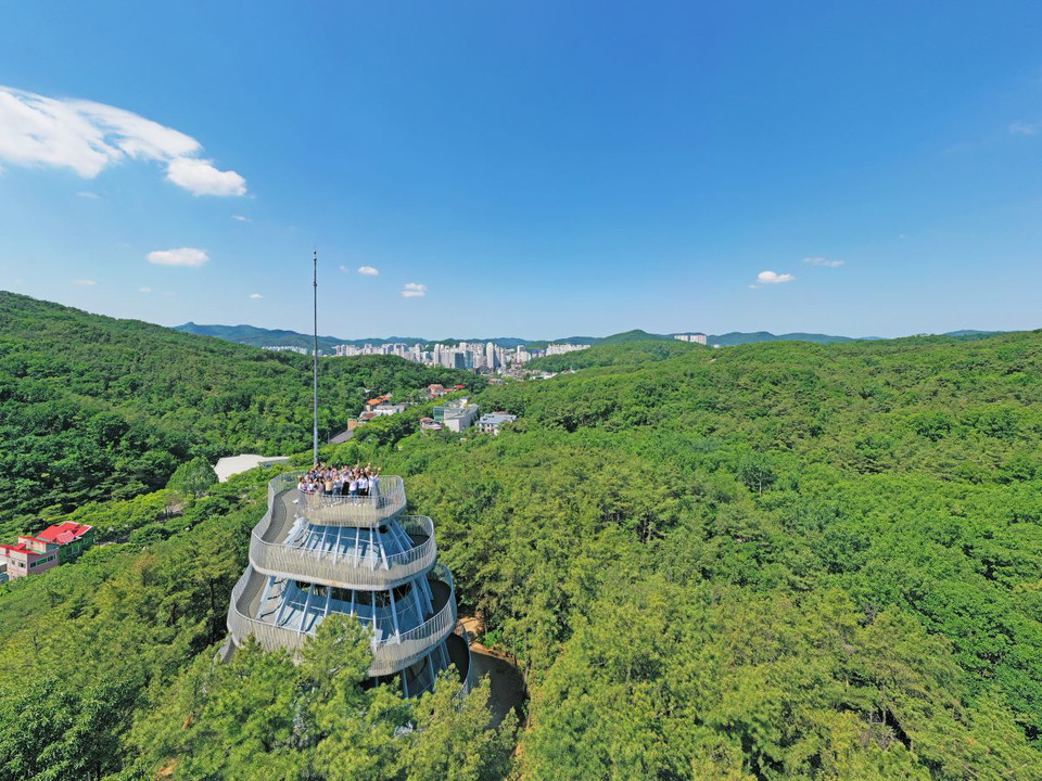안양공공예술프로젝트(이하 APAP)가 문화체육관광부의 ‘로컬100(지역문화매력 100선)’으로 선정됐다. (사진제공=안양시청)