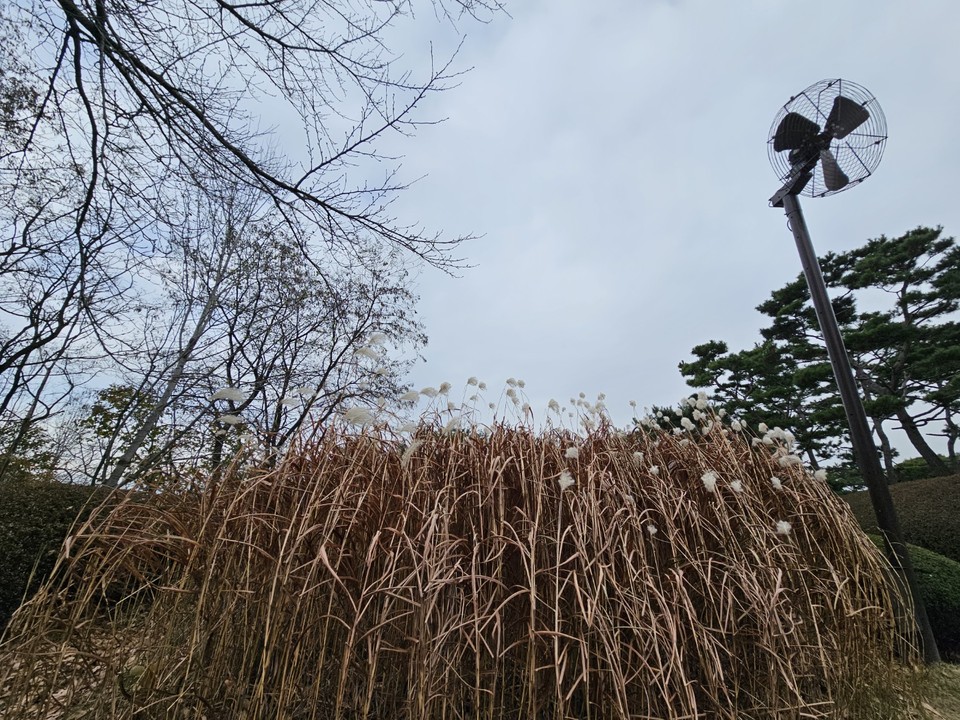 18일 토요일인 오늘 경기·인천지역은 가끔 구름 많다가 오전부터 맑아지겠다. 아침 기온이 크게 떨어지면서 전날 내린 눈과 비가 얼어 도로가 미끄럽겠다. 바람도 불면서 춥겠다. (사진=김광섭 기자)