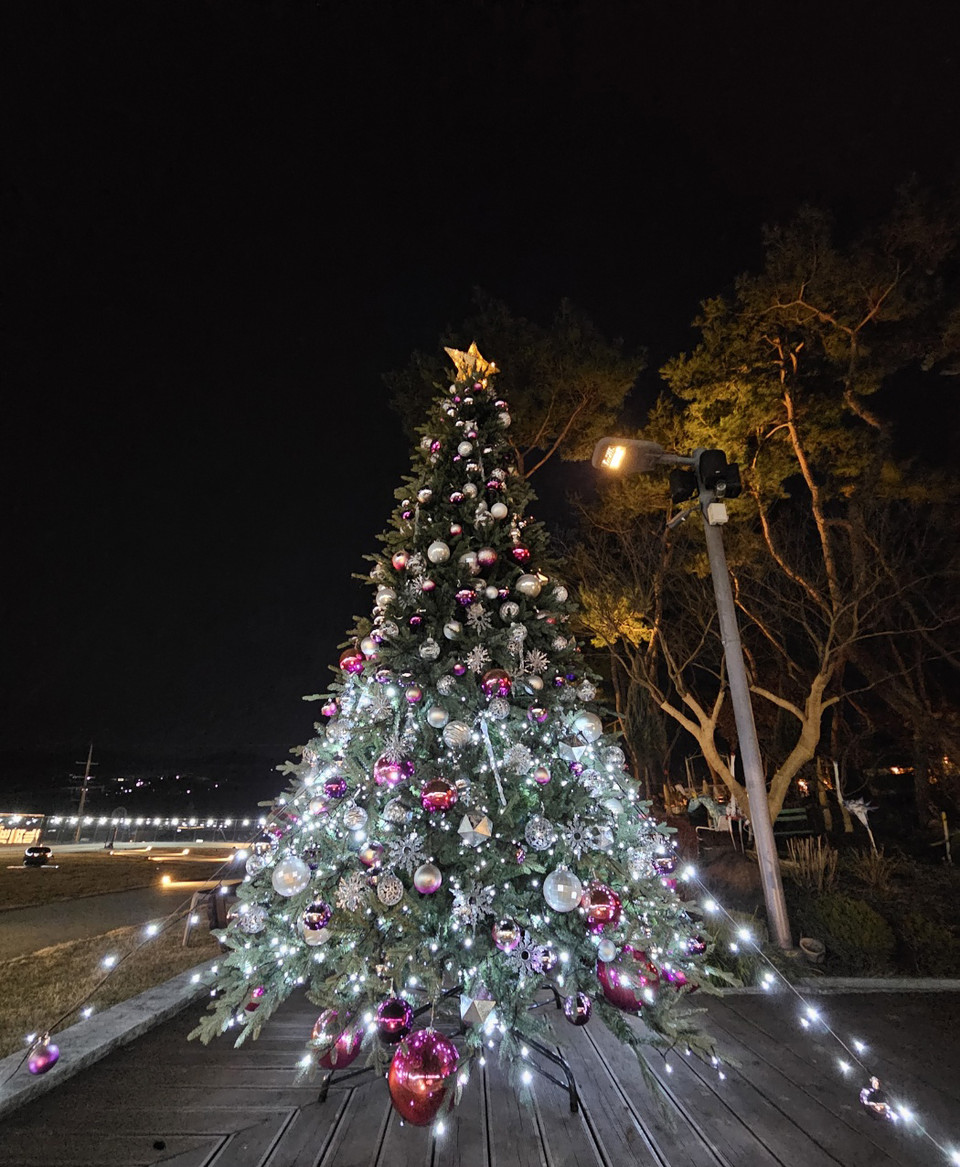 13일 수요일인 오늘 경기·인천지역은 가끔 구름 많다가 낮부터 차차 흐려지겠다. 그동안 영상기온을 보이던 아침 기온이 떨어져 춥겠다. 사진은 불 밝힌 성탄절 트리. (사진=김성운 기자)