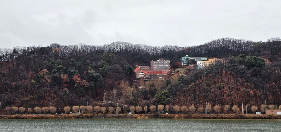 겨울비가 추적추적 내리는 15일 오후 4시10분께 양평군 강하면 전수리에서 바라본 강 건너 옥천면 아신리 강변길에 곧게 뻗은 은행나무가 앙상한 모습을 한 채 쓸쓸해 보인다. (사진=장은기 기자)