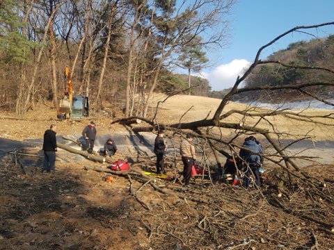 여주 강천면의 한 골프장에서 벌목 작업 중이던 인부가 나무에 깔려 숨지는 사고가 발생했다. 사진은 사고 현장. (사진제공=경기도소방재난본부)