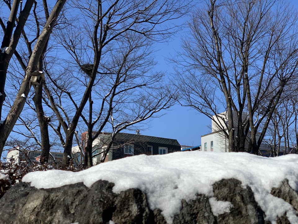 15일 오후 1시께 동두천 시청 내 공원 하늘이 하루 전 내린 많은 눈으로 인해 깨끗해 보이는 맑은 파란 하늘색을 나타내고 있다. (사진=오기춘 기자)