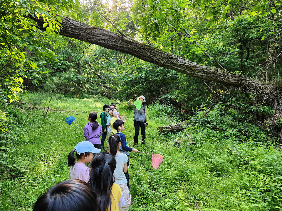 용인특례시가 지난해 하반기 기준 지역 내 16곳의 ‘다함께돌봄센터’를 이용하는 학부모와 아동을 대상으로 센터 운영 만족도를 조사한 결과 전체 응답자의 98%가 만족한다는 의견을 나타냈다고 30일 밝혔다. 사진은 다함께돌봄센터 교육 프로그램. (사진제공=용인시청)