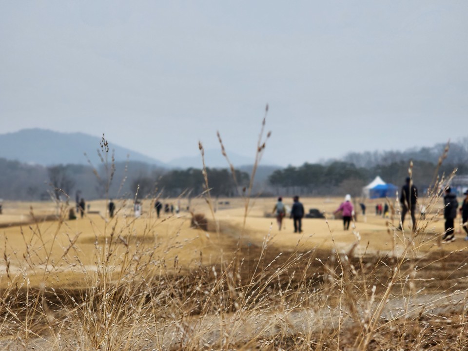 포근한 날씨를 보인 12일 오전 11시10분께 여주파크골프장에서 많은 내장객들이 라운딩을 즐기고 있다. (사진=김광섭 기자)
