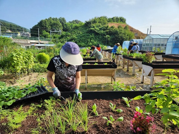 남양주시가 스트레스 해소 등 정서적인 안정과 소통하는 공동체 문화 확산을 위해 시민들을 대상으로 2024년 커뮤니티 가든 ‘도시 텃밭’을 분양한다. (사진제공=남양주시청)