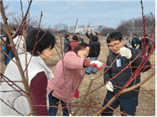 국제사이버대학교 웰빙귀농조경학과 나무사랑 동아리와 마늘재배 동아리 학생들은 17일 수원학습관에서 적기영농실습을 진행했다. (사진제공=국제사이버대)