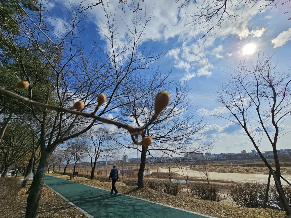 27일 화요일인 오늘 경기·인천지역은 구름 많은 날씨를 보이겠고, 낮엔 대체로 포근하겠다. 사진은 전날(26일) 오후 2시50분께 여주시 현암동 걷고싶은 거리에서 오랜만에 드러낸 파란하늘. (사진=김광섭 기자)