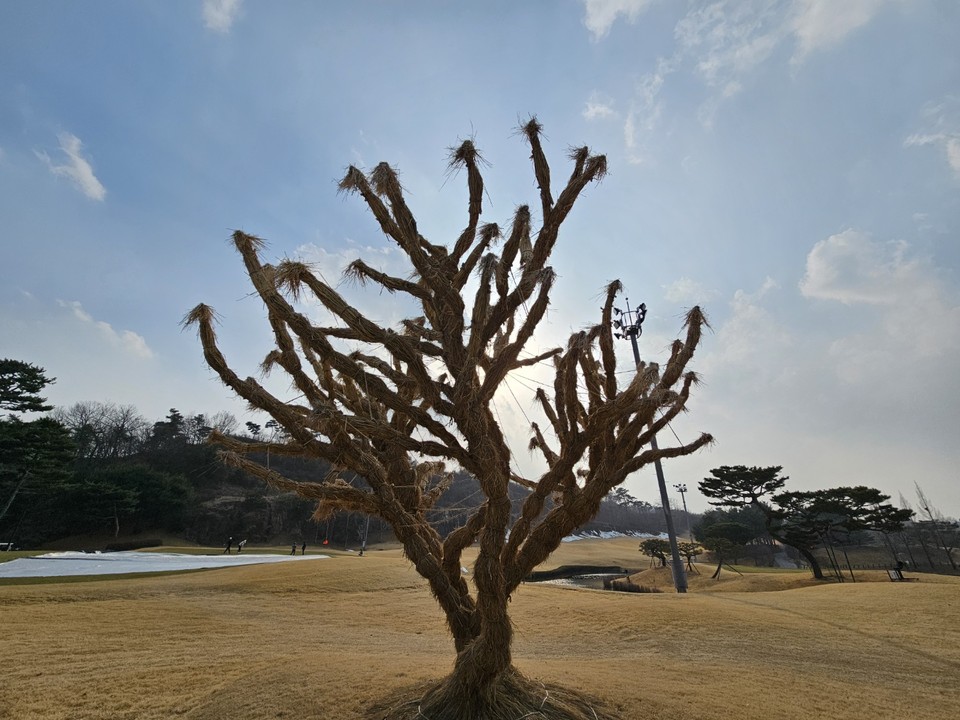 ​​​​​​​4일 월요일인 오늘 경기·인천지역은 구름이 많다가 오후에 흐려지겠다. 또 경기남동부지역에는 오전까지 짙은 안개가 끼겠다. 사진은 지푸라기 옷을 입은 나무.(사진=중앙신문DB)