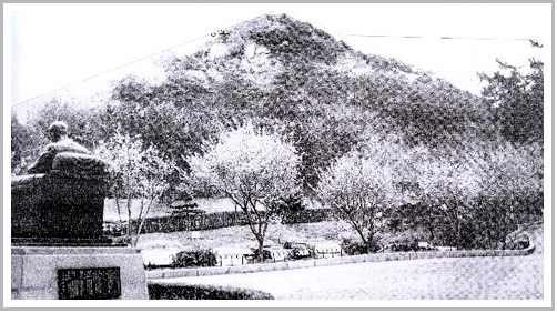 인천시립박물관에서 바라본 청량산. (사진제공=연수구청)