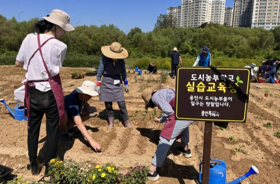 용인특례시가 올 상반기 운영하는 4개 도시농업 교육과정에서 작물 재배와 원예 활동을 배울 시민 115명을 18일까지 모집한다고 12일 밝혔다. (사진제공=용인시청)