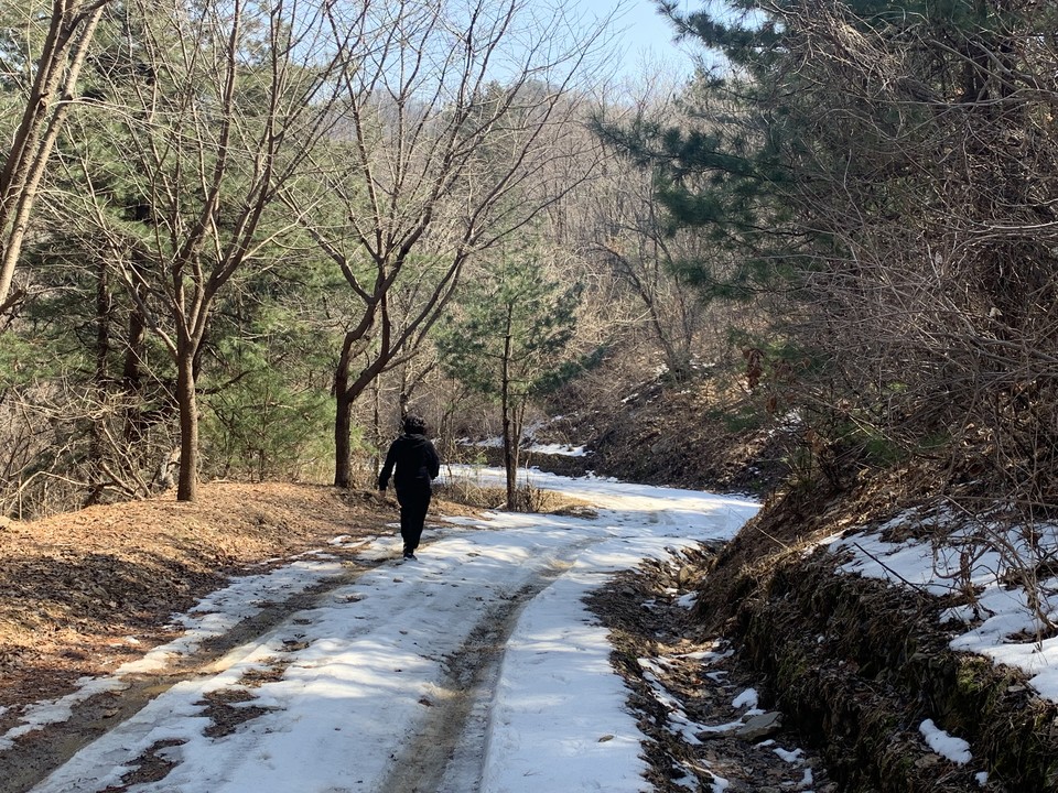 13일 낮 12시10분께 동두천시 소요산 인근 임도에 쌓인 흰눈 위를 산책 나온 것으로 보이는 한 시민이 걷고 있다. (사진=오기춘 기자)