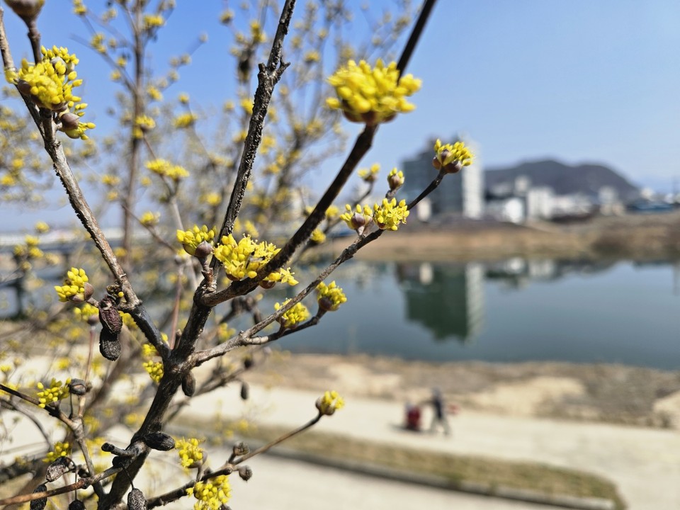 15일 금요일인 오늘 경기·인천지역은 대체로 맑고 한낮기온이 18도까지 올라 포근하겠다. 미세먼지와 초미세먼지 극성을 부리면서 대기질은 나쁠 것으로 예상된다. 아침 인천과 경기서해안을 중심으로 짙은 안개가 끼겠다. (사진=송석원 기자)