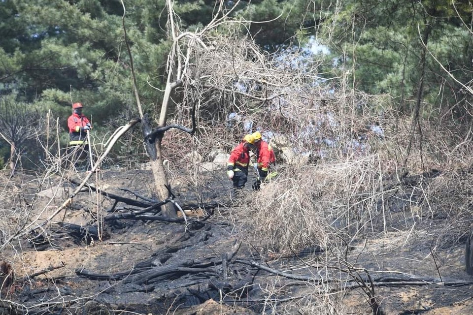 17일 오전 11시께 동두천시 안흥동 18번지 일대 인근 야산에 불이 나 산림 약 1000㎡를 태우고 약 1시간 만에 진화됐다. 사진은 화재 현장. (사진제공=박형덕 동두천시장 페이스북)