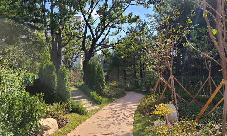 경기도가 ‘생활환경숲 조성 사업’ 등 15개 도시숲 조성 사업을 통해 봄철 미세먼지 대응 총력에 나선다. 사진은 부천시 학교숲 조성사업. (사진제공=