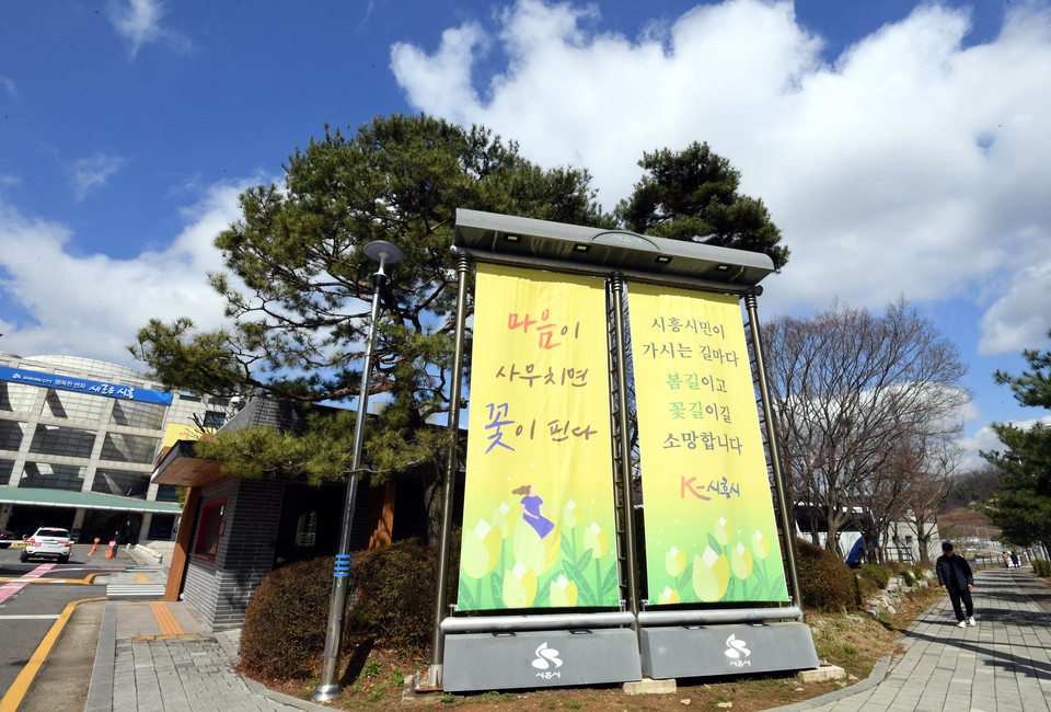 봄의 전령사인 운용매가 톡톡 소리 없이 꽃망울을 터뜨리며 희고 고운 얼굴을 가득 내밀고, 샛노란 산수유가 시흥시청 곳곳을 수려한 봄의 색으로 바꾸고 있다. (사진제공=시흥시청)