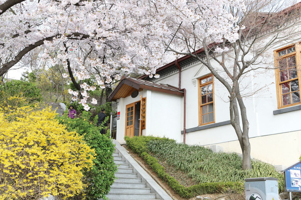 인천시가 봄을 알리는 아름다운 꽃들이 개화를 앞두고 있다. 사진은 중구구 자유공원 제물포구락부. (사진제공=인천관광공사)