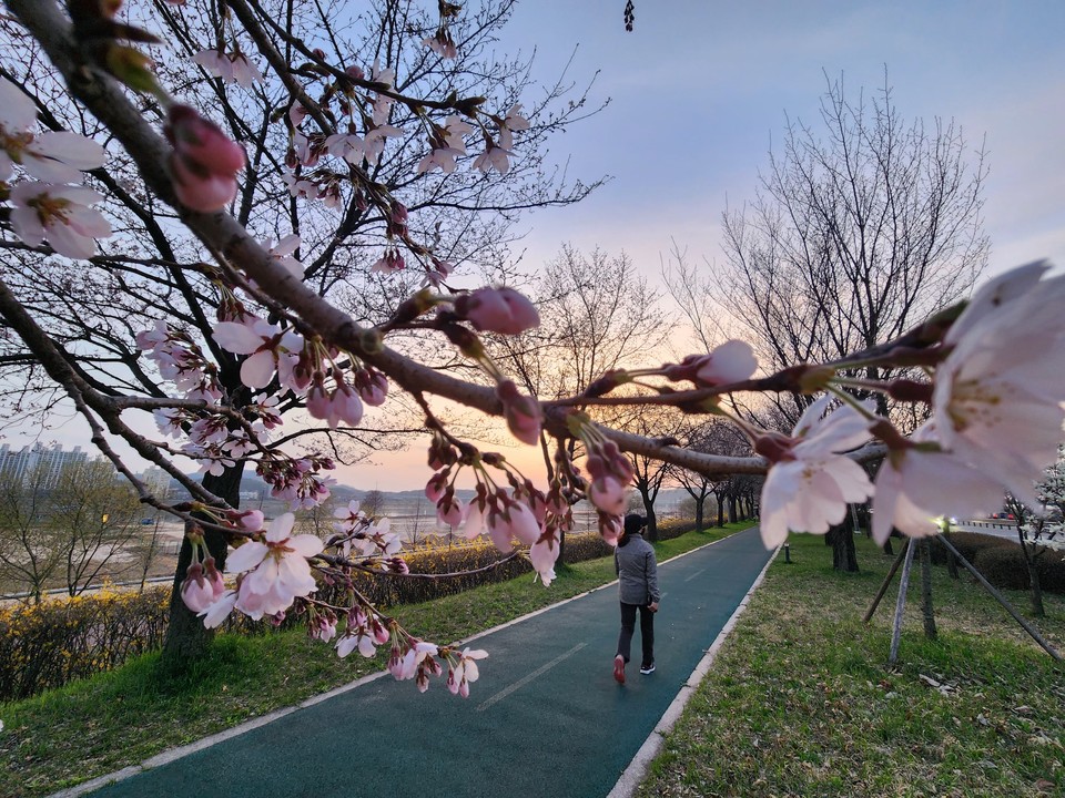 ​​​​​​​6일 토요일인 오늘 경기·인천지역은 점차 기온이 오르면서 낮과 밤의 기온차가 크겠고, 가끔 구름이 많다가 저녁부터 맑아지겠다. 사진은 여주시 현암동 걷고싶은거리에서 산책하는 시민.(사진=김광섭 기자)