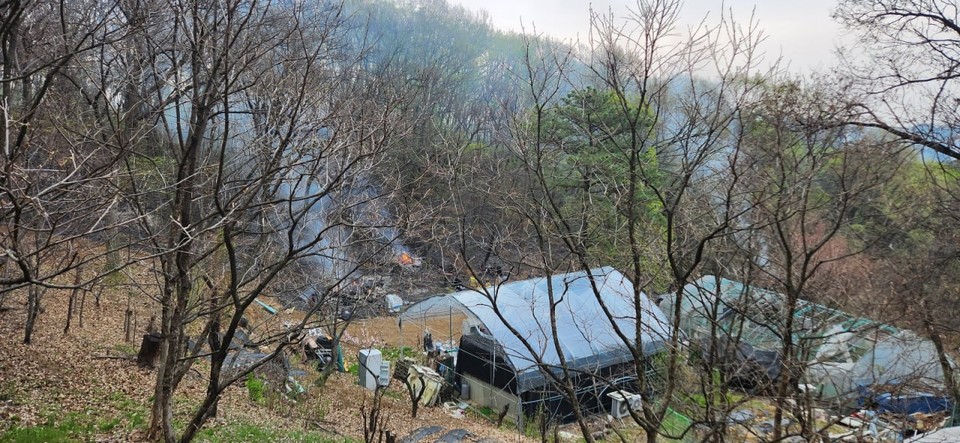 8일 오전 6시8분께 성남시 분당구 판교동의 한 야산에서 불이 나 신고를 받고 출동한 소방당국에 의해 약 1시간32분 만에 진화됐다. 사진은 화재 현장. (사진제공=경기도소방재난본부)