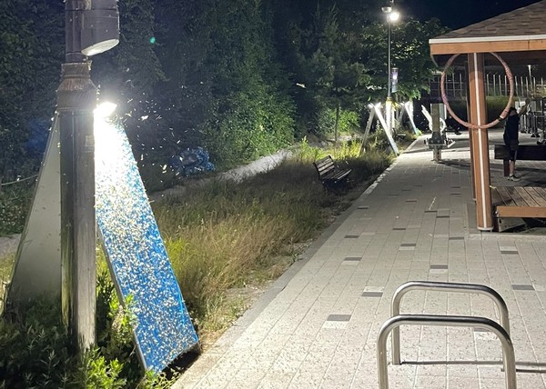 매년 5월에서 9월 사이 와부읍 한강 일대에 동양하루살이가 대거 출몰하는 가운데, 남양주시가 선제적인 방제 활동에 나선다. (사진제공=남양주시청)