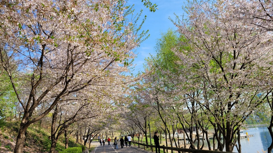​​​​​​​13일 토요일인 오늘 경기·인천지역은 오전까지 짙은 안개가 끼겠고, 대체로 맑겠다. 사진은 광교저수지 수변 산책로.(사진=중앙신문 DB)