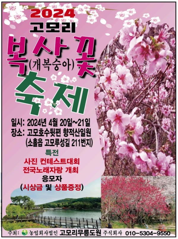아름다운 형형 색색의 다양한 복사꽃이 봄 기운과 함께 만개한 가운데 포천시 소흘읍 소제 제1회 고모리산성 복사꽃 축제가 오는 20일~21일 양일간 일정으로 고모호수 뒤편인 향적산 일원에서 개최될 예정이다. 사진은 복사꽃 축제 홍보 포스터. (사진제공=포천시청)