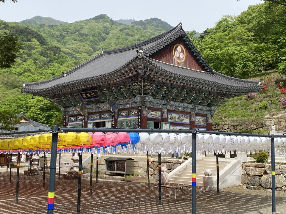 26일 오전 10시30분께 양평 용문사 경내에 내걸린 형형색색의 연등이 19일 앞으로 다가온 ‘부처님 오신 날’을 기다리고 있다. (사진=장은기 기자)