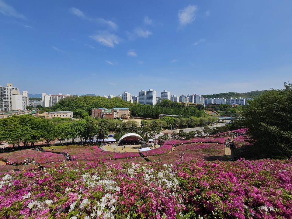 27일 토요일인 오늘 경기·인천지역은 아침에 짙은 안개가 끼겠고, 대체로 맑겠다. 사진은 군포시 산본동 철쭉동산에 만개한 철쭉꽃.(사진=중앙신문 DB)