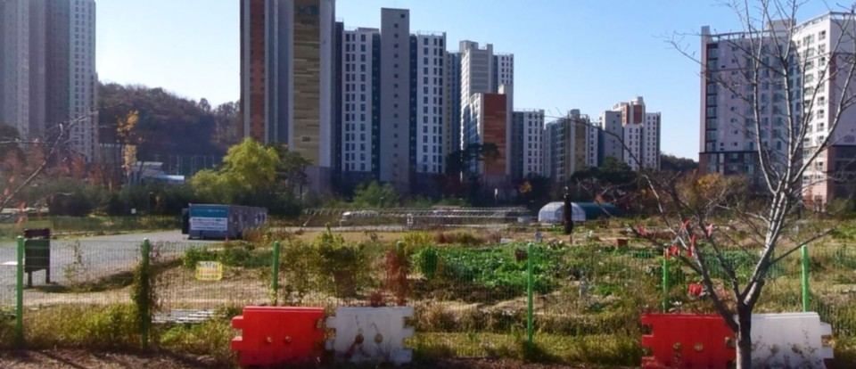 김포 장기·운양중학군 내 학교용지로 결정 고시만 남겨둔 도민 텃밭으로 이용되고 있는 장기동 2065의 5부지 전경. (사진=네이버 지도 캡처)