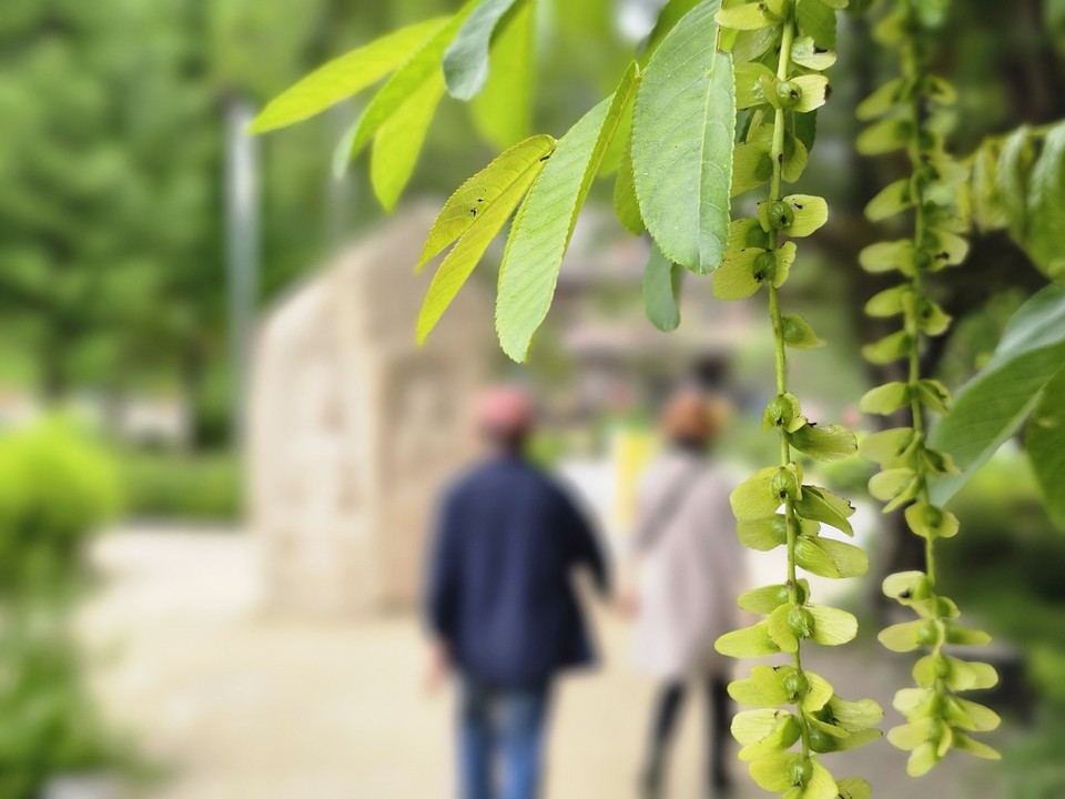 어제가 17회째를 맞는 법정기념일 5월21일 부부의 날이었다. (사진=김성운 기자)