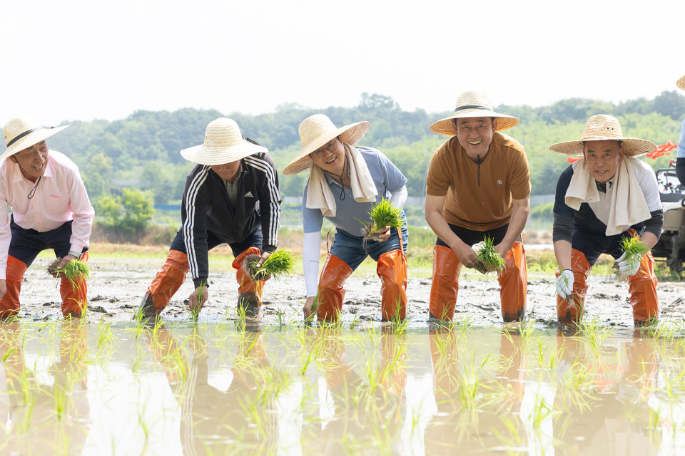 22일 오전 경기도 여주 가남읍 연대리에서 열린 2024년 경기미 모내기 행사에서 김동연 경기도지사, 이충우 여주시장, 정병관 여주시의회 의장, 도의원, 시의원 및 농업인 등이 손 모내기를 하고 있다. (사진제공=경기도청)