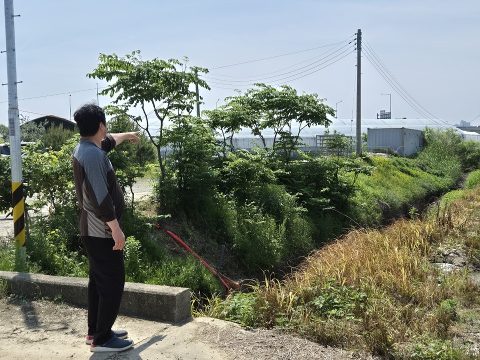 A씨가 하천 확장 사업으로 이전하게 될, 농장과 마을을 연결하는 다리에서 자신이 6년째 운영 중인 스마트팜 농장을 가리키고 있다. A씨 밑으로는 확장공사가 예정된 도사천. (사진=권용국 기자)