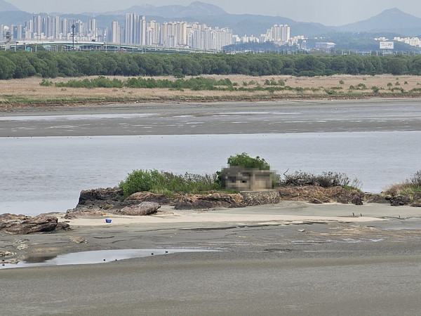 옛 지도에 기록으로 남아있던 김포시 관할 한강하구 중앙에 자리 잡은 섬 '독도'(獨島)가 공식적인 이름을 갖게 됐다. 사진은 독도 현장. (사진제공=김포시청)