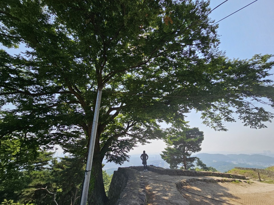 10일 오전 9시40분께 오산시 독산성 세마대 인근 느티나무에 서있는 한 시민이 생각에 잠긴 듯 먼 곳을 바라보고 있다. (사진=김종대 기자)