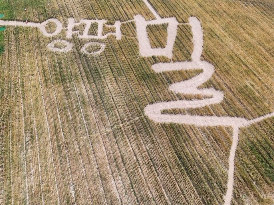 지난 7일부터 9일까지 3일간 열린 ‘제2회 양평 밀 축제’에 지난해 보다 크게 증가한 방문객이 다녀가며 성료됐다. (사진=장은기 기자)