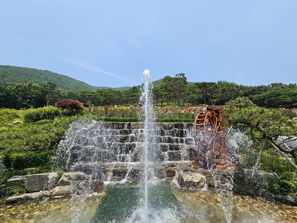 20일 목요일인 오늘 경기·인천지역은 낮 기온이 올라 매우 덥겠다. 오전까지는 가끔 구름 많다가 오후에는 대체로 맑겠다. 곳곳에 폭염이 이어지겠다. 기상청은 오늘 자정부터 시흥과 부천을 제외한 경기 29개 시·군에 폭염주의보를 발효했다. 사진은 전날 인천 계양산 장미원 폭포. (사진=이복수 기자)