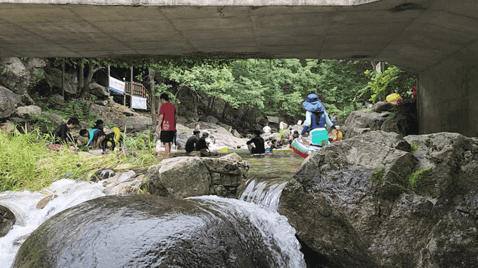 6일 오후 2시께 양평 옥천면 사나사계곡에서 가족 단위 피서객들이 물놀이에 한창이다. 7일 일요일인 오늘 경기·인천지역에는 곳에 따라 소나기가 내리겠고, 습도가 매우 높겠다. (영상=김광섭 기자)