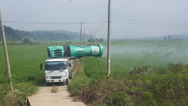 파주시는 오랜 장마로 인한 농업 분야 피해를 최소화하기 위해 침수된 벼의 흰잎마름병, 도열병, 문고병 등 최근 중국 등지에서 기단을 타고 날아오는 비래해충들의 퇴치를 위한 종합방제에 총력을 기울이고 있다. (사진제공=파주시청)