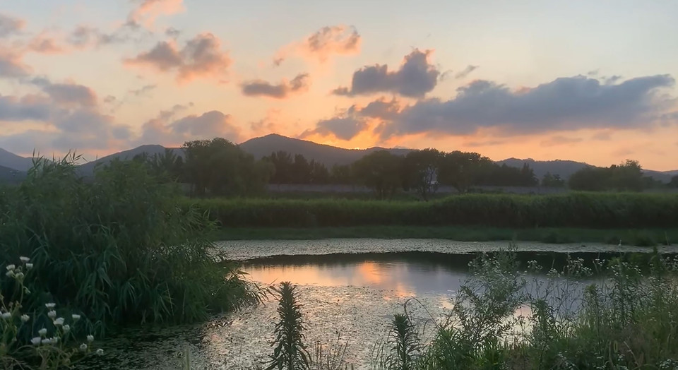 우수 수상작 '탄천이 부르는 성남의 노래' 영상 캡쳐본. (사진제공=성남시청)