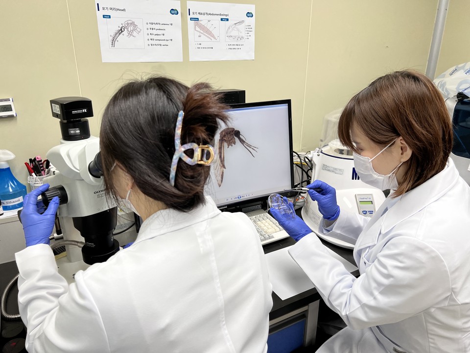 경기도보건환경연구원이 4월부터 10월까지 약 7개월 동안 말라리아 선제적 대응을 위한 말라리아 매개모기 조사감시사업을 실시한다. (사진제공=경기도보건환경연구원)