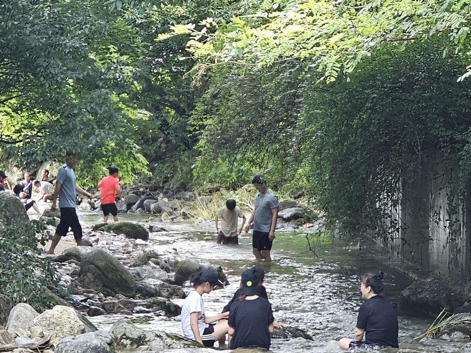 수박·참외 둥둥 띄어 먹던 계곡피서. (사진=강상준 기자)<br>