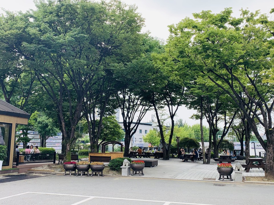 12일 낮 12시40분께 동두천시청 야외 카페 나무 그늘에서 시 공무원들이 멋스러운 휴게시간을 즐기고 있다. (사진=오기춘 기자)