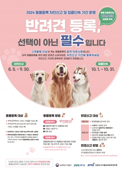 용인특례시, 9월 30일까지 동물등록 자진신고 기간 운영
