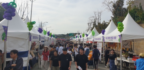 제17회 안성맞춤포도축제 체험·판매부스 모집