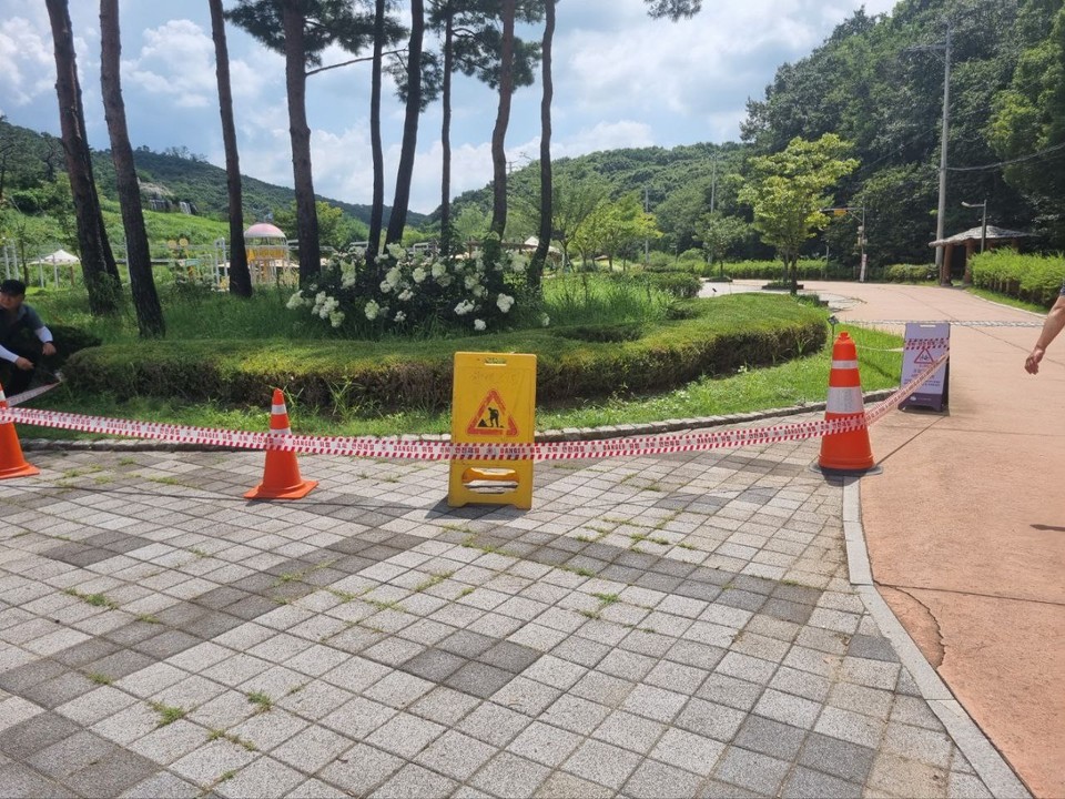 16일 낮 12시35분께 군포시 산본동 초막골생태공원에서 말벌에 머리 부분을 쏘인 70대 남성 A씨가 심정지 상태로 병원으로 이송됐지만 결국 숨졌다. (사진제공=경기도소방재난본부)