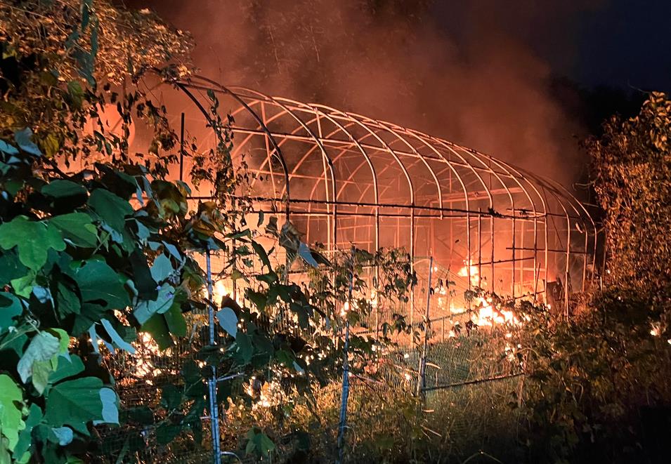 21일 오전 1시38분께 안산시 단원구의 한 비닐하우스로 된 농막에서 불이 나 신고를 받고 출동한 소방당국에 의해 약 56분 만에 모두 진화됐다. (사진제공=경기도소방재난본부)