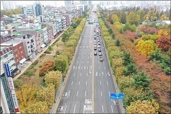 사진은 부평구 길주로 양버즘나무길. (사진제공=인천시청)