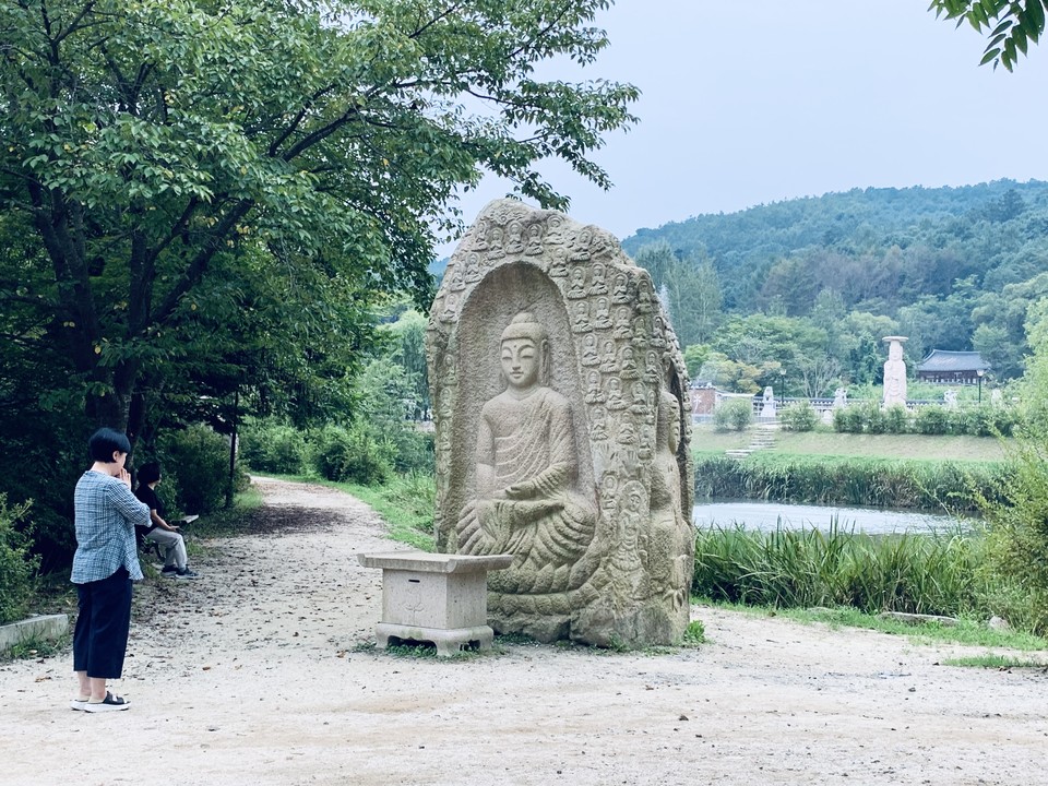 26일 오후 5시께 남양주 진접읍 부평리에 있는 운악산 봉선사 사찰을 연꽃과 함께 사진에 담아봤다. 한 방문객이 합장한 채 기도하고 있다. (사진=이승렬 기자)