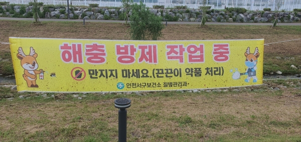 서구, 끈끈이 현수막을 통한 친환경 방제 실시
